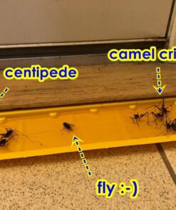 EATON J T 844 4PK Crick/Spid GlueTrap 23 61ghYQV3C8L