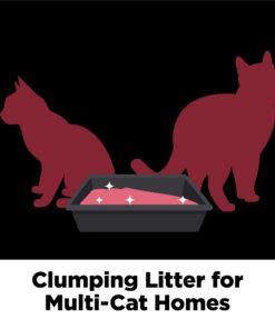ARM & HAMMER Clump & Seal Platinum Cat Litter, Multi-Cat, 40 lb Clumping Cat Litter 40 lbs 29 61glrYzMAhL