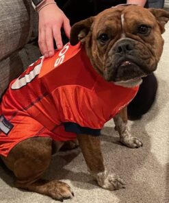 NFL Denver Broncos Dog Jersey, Size: X-Large. Best Football Jersey Costume for Dogs & Cats. Licensed Jersey Shirt 26 61gmaJOXJ L