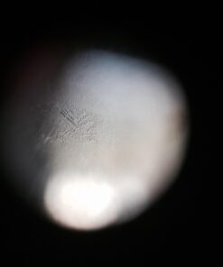 Fairhaven Health Fertile Focus Ovulation Test Kit - Women's Fertility Tracker and Predictor - 3 Days in Advance - Ovulation Kit - Accurate, Reusable Home Saliva Test - Results in Five Minutes 56 61guSTBoCdL