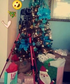 55" Tripod Q111 Travel Camera Tripod with 3-Way Pan Head and Phone Holder Mount for Gopro,Projector,Smartphones Webcam,Spotting Scopesto Live Broadcast and DSLR EOS Canon Nikon Sony Samsung(Red) 55" Red 32 61gyhJOBhiL