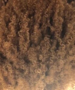 Shea Moisture Curly Hair Products, Coconut & Hibiscus Curl Enhancing Smoothie with Shea Butter, Sulfate Free, Paraben Free Hair Cream for Anti-Frizz, Moisture & Shine, Family Size, 16 Fl Oz 16 Ounce (Pack of 1) 35 61gzMJ2OEVL 1