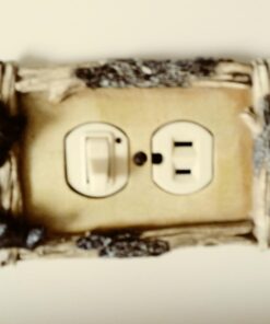 Rivers Edge Products Duplex Outlet Cover Plate, Single-Gang Receptacle Cover, Poly-Resin Wall Outlet Cover, Hand-Painted Decorative Electrical Wall Plate, Screws Included, Bear Receptacle Single - Bear 14 61h dSILe3L