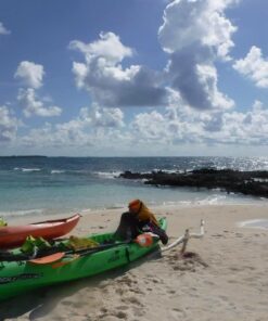 Fujifilm FinePix XP80 Waterproof Digital Camera with 2.7-Inch LCD (Yellow) Yellow 122 61hDVRAgZbL