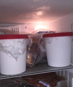 StarPack Ice Cream Containers for Homemade Ice Cream (2 Pcs) - Reusable Ice Cream Storage Containers for Freezer - Leak-Free Ice Cream Containers with Lids (Silicone) - 1 Liter per Ice Cream 2 Pc Set (Large) 47 61hHmMc55oL