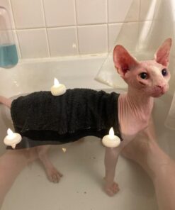 MOLD ARMOR Mold and Mildew Killer + Quick Stain Remover, 32 oz., Trigger Spray Bottle, Eliminates 99.9% of Household Bacteria and Viruses, Ideal Bathroom Mold and Mildew Remover 46 61hHo7LXeeL