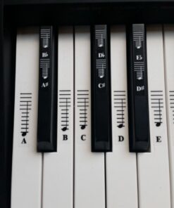 Piano and Keyboard Music Note Full Set Stickers for White and Black Keys; Transparent and Removable; Made in USA 50 61hM XNiJhL