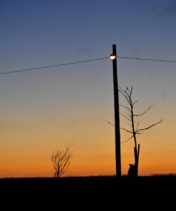 NIKON AF-S DX NIKKOR 55-200mm f/4-5.6G ED VR II Lens - White Box (New) Base 50 61hOKvCKfL