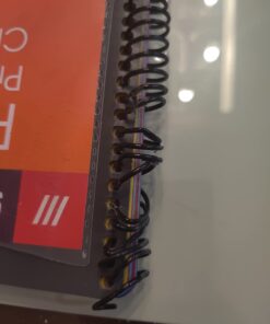 Smead Project Organizer, 24 Pockets, Grey with Assorted Bright Tabs, Tear Resistant Poly Material, 1/3-Cut Tabs, Letter Size (89206) 24 Pocket Yellow, Pink, Lime, Blue, Purple 40 61hQJrUNEDL