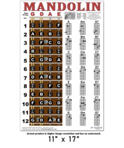 Alternative view of Mandolin Classic Style Easy Chord & Fretboard Note Chart Instructional Poster for Beginners Chords & Notes A New Song Music 11"x17" Classic - 11"x17"