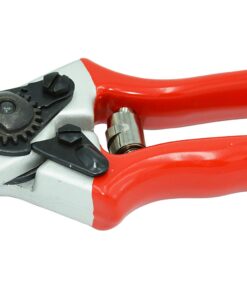 Zenport QZ431 Anvil Professional Pruner, 1-Inch Cut, 8.3-Inch Long 7 61hXteP2sRL