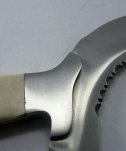 Szco Supplies 10" Bone Handle Moon Crescent Fantasy Knife With Sheath, white (203214) 15 61hZIBjUZAL