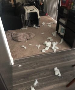 MidWest Homes for Pets Deluxe Dog Beds | Super Plush Dog & Cat Beds Ideal for Dog Crates | Machine Wash & Dryer Friendly, 1-Year Warranty Mocha 36-Inch 26 61hZjeEQiVL