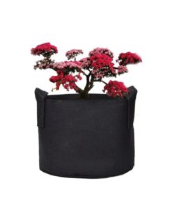 Ming Wei Garden Plant Bags / 6-Packs 5 Gallon Grow Bags/Aeration Fabric Pots/Handles (Black) Black 23 61hcJpClhKL