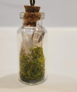 Hypnotic Gems 120g 4.2oz Natural Clear Quartz Crystal Points Shards 30-50 Piece Lot Average Brand 47 61hiP jkttL