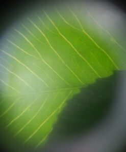 Ravensburger Science X Smartscope Science Kit 27 61hnU3v17ZL