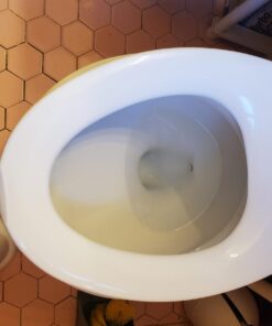 UMIEN™ Ergonomic Potty Training Toilet Seat 2 in 1 Toilet Seat For Toddlers & Adults – Kids Potty Training Easy To Install Elongated 45 61hr3XlAMIL