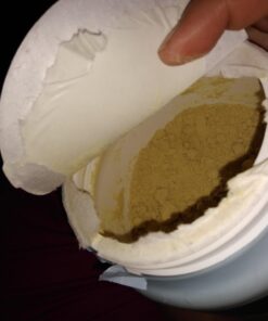 Garden of Life Vegan Protein Powder - Raw Organic Meal Replacement Shakes - Vanilla - Pea Protein, Greens and Probiotics for Women and Men, Plant Based Dairy Free All in One Shake, 28 Servings 2.32 Pound (Pack of 1) 43 61hrZHUtgoL