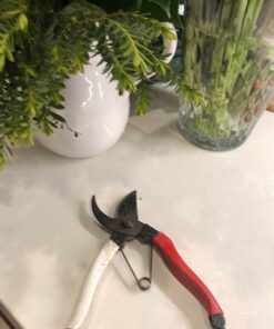 Okatsune 101 7-inch Bypass Pruners, Small One Pack 11 61i4neR9kuL