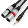 tisino 3.5mm to Dual XLR Stereo Cable 1/8 inch Mini Jack to 2 XLR Male Y Splitter Adapter Cord- 6.6 FT 6.6 feet