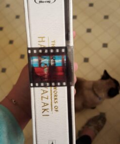 The Collected Works of Hayao Miyazaki (Amazon Exclusive) Blu-ray November 17, 2015 34 61i91e92BPL