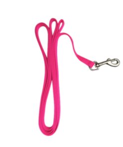 VALHOMA 381 C 6HP 625485 Nylon Chicken Leash, Hot Pink, 6'