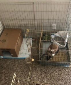 MidWest Homes for Pets Foldable Metal Dog Exercise Pen / Pet Playpen, Gold zinc w/ door, 24'W x 30'H, 1-Year Manufacturer's Warranty 30" H 49 61iCCHINWcL