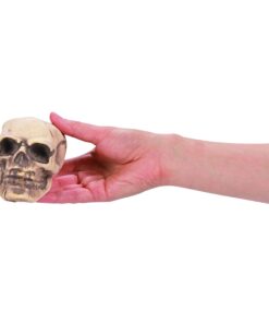 Alternative view of Fun Express Small Skulls for Halloween - Set of 3 - Use for Shrunken Heads and Scary Home Decor
