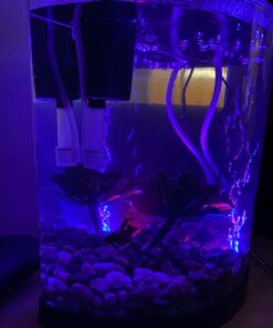 Tetra ColorFusion Starter aquarium Kit 3 Gallons, Half-Moon Shape, With Bubbler And Color-Changing Light Disc 63 61iFw7M2dtL