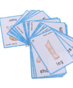 FieldDream 36Pcs/Set Body Parts Child Flash Cards Learning Toys English Baby Card Kids Gifts Pre-Kindergarten with Ring 11 61iJ3lHTjbL