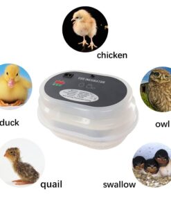 Alternative view of iTavah Egg Incubator, Chicken Incubators for Hatching Eggs with Automatic Egg Turning and Temperature Control, 9-12 Eggs Poultry Hatcher for Chicken Duck Bird