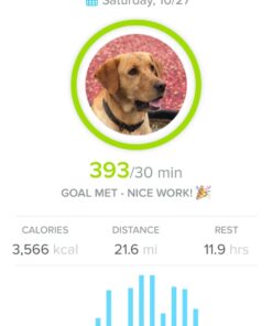 Whistle 3 / GPS Pet Tracker & Activity Monitor / Grey 51 61iLSC1jGUL