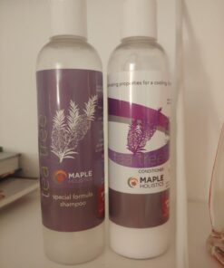 Tea Tree Shampoo for Oily Hair - Paraben and Sulfate Free Clarifying Shampoo for Build Up and Dry Scalp with Tea Tree Oil for Hair - Purifying Aromatherapy Tea Tree Oil Shampoo for Greasy Hair 24 61iN4njbezL