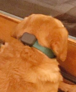 Whistle 3 / GPS Pet Tracker & Activity Monitor / Grey 49 61iOFove7hL