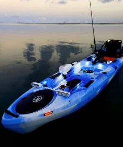 Young Marine 9 inch 3 Nautical Mile White LED Fold Down Boat Stern Light Boat Anchor Light for Pontoon and Fishing Boat Navigation Anchor Lights All Round 360° White LED 12-24V 9" Foldable 23 61iRZ4orRjL