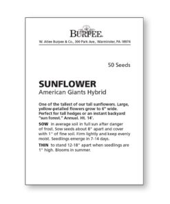 Burpee American Giants Hybrid Sunflower Seeds 50 seeds 11 61iSTOw4NEL