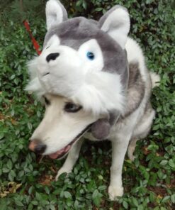 Super Z Outlet Cute Plush Animal Hat Winter Warm Winter Fashion Clothing Accessories (Husky/Wolf-Short) Grey 22 61iTQJw7uNL