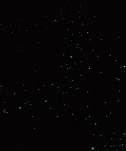 Realistic 3D Domed Glow in The Dark Stars,606 Dots for Starry Sky, Perfect for Kids Bedding Room Gift(606 Stars) (1*Green) 1*Green 48 61iVktH7BrL