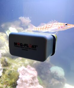 Alternative view of Mag-Float Small Acrylic Aquarium Algae Scraper Cleaner | Magfloat Floating Magnetic Fish Tank Magnet Cleaning Scrubber Brush Tool for Freshwater Saltwater Marine Reef Tanks