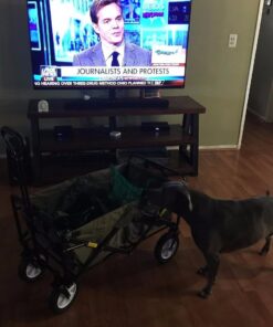 Mac Sports Folding Steel Frame Garden Utility Wagon Cart, Green (for Parts) 39 61ida qDh5L