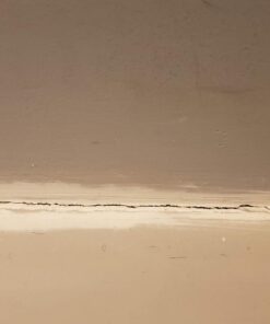 Flex Seal, 14 oz, 2-Pack, Clear, Stop Leaks Instantly, Transparent Waterproof Rubber Spray On Sealant Coating, Perfect for Gutters, Wood, RV, Campers, Roof Repair, Skylights, Windows, and More 36 61is34Q6IDL