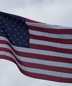 Annin Flagmakers Model 2730 American Flag Tough-Tex Polyester Flag, 5 x 8 Feet 5x8 ft. 31 61it388ScDL