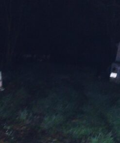 BlueFire 1200 Lumen Super Bright XM-L2 LED Handheld Flashlight with Adjustable Focus and 5 Light Modes, Outdoor LED Torch, Tactical Flashlight for Camping & Hiking 46 61iv griGL