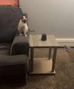 Furinno Simplistic Set of 2 End Table, French Oak Grey/Grey French Oak/Grey 2-Pack, Plastic Pole 15.6 x 15.6 41 61ivBCRtOHL