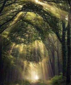 PORTER-CABLE 20V MAX* Reciprocating Saw, Tool Only (PCC670B) 23 61ixvRDrXAL