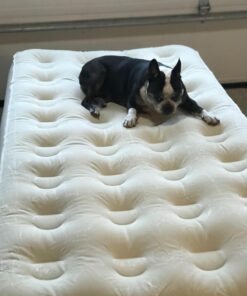 Ivation EZ-Bed (Twin) Air Mattress with Frame & Rolling Case, Self Inflatable, Blow Up Bed Auto Shut-Off, Comfortable Surface AirBed, Best for Guest, Travel, Vacation, Camping Twin 17 61ixvT5WU3L