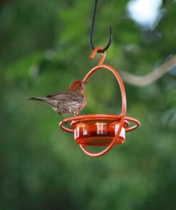 Songbird Essentials Bird Berry Jelly 20 Oz Purple 15 61iy0S 4F4L