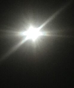 HME Economy Trail Camera Holder with 360-Degree Camera Head Compact Sturdy Design Easy Installation Versatile Compatibility 21 61j nIpEWJL