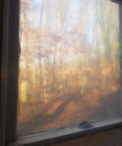 Warp Brothers SP-4CH10-C 4 Mil Carry Home Coverall Clear Plastic Sheeting, 10-Foot by 25-Foot 15 61j3dEV1 PL