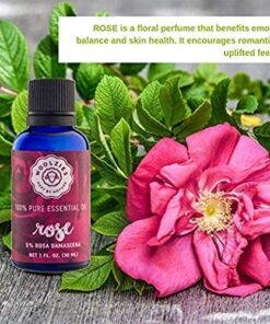 Woolzies Best Natural Rose Essential Oil Blend 1 Oz - Therapeutic & Premium Graded Aromatherapy Oil - Most Popular for Relaxation, & Skin Healing Use - For Diffusion & Topical Use 19 61j4BOGrxzL